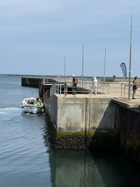 Ausflugsfahrten rund um Helgoland