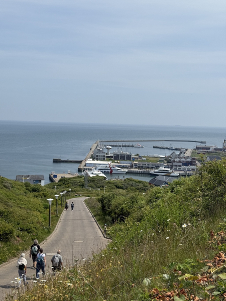 Blick auf den Helgoland Hafen vom Oberland