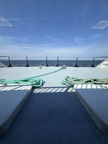 Helgoland in Sicht vom Halunder Jet