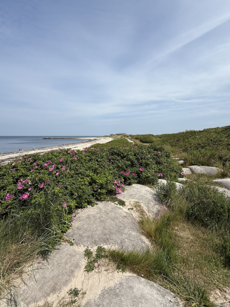 Klippen am Nordstrand
