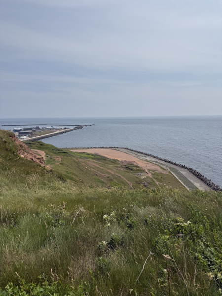 Medelst Hörn auf Helgoland