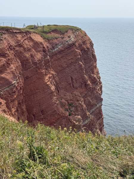 Medelst Hörn auf Helgoland