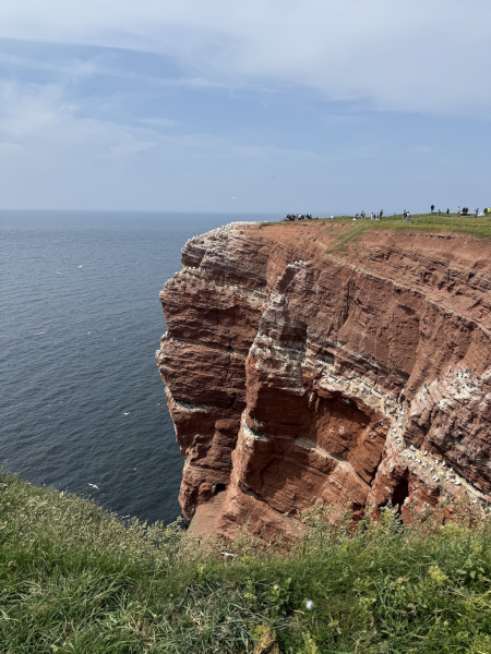 Naturschutzgebiet Lummenfelsen der Insel Helgoland