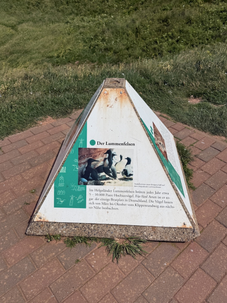 Naturschutzgebiet Lummenfelsen der Insel Helgoland