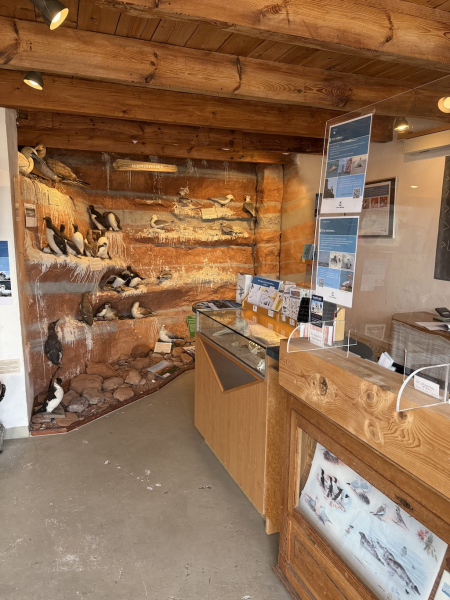 Verein Jordsand, Ausstellung in Hummerbude